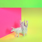 dollarstore-2