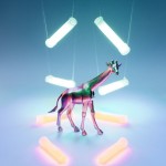 dollarstore-6