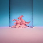 dollarstore-8