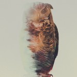 doubleexposureanimals11