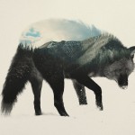 doubleexposureanimals2