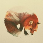 doubleexposureanimals3