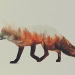 doubleexposureanimals7