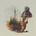 doubleexposureanimals8