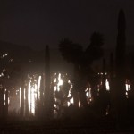 electricdesert5