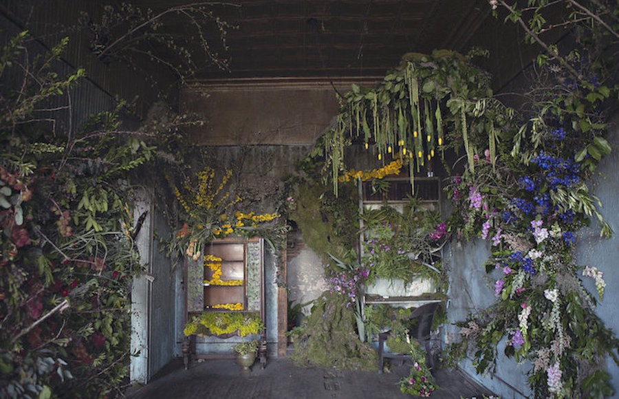 Abandoned Detroit House Filled by Flowers