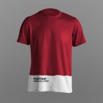 footballpantone-3