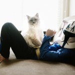 friendshipcatsboys1