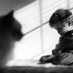 friendshipcatsboys12