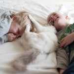 friendshipcatsboys6