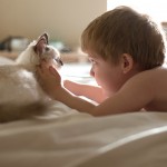 friendshipcatsboys7