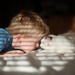 friendshipcatsboys8
