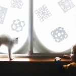 friendshipcatsboys9