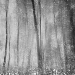multipleexposures1