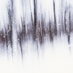 multipleexposures2