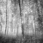 multipleexposures3