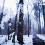 multipleexposures7