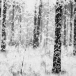 multipleexposures8