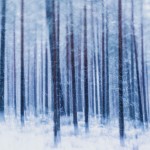 multipleexposures9