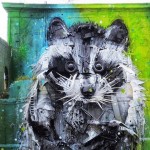 racoonstreetart1