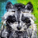 racoonstreetart2