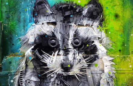 Big Raccoon 3D Street Art