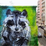 racoonstreetart5