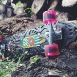 skateboardshiels2