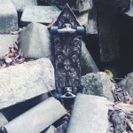skateboardshiels4