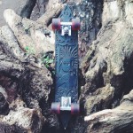 skateboardshiels6