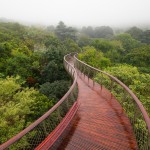 skywalks-7