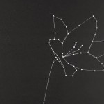 sonlux6
