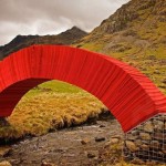 stevemessam-2