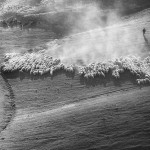 tuscansheeps-5