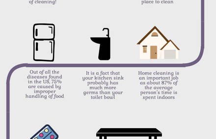 8 Curious Facts About House Cleaning