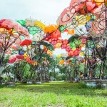 DreamingAreaumbrellas2