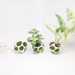 Ecoid-Urban-Nature1-640x452