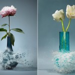 Exploding Vases by Martin Klimas