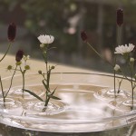 Floatingvases-0
