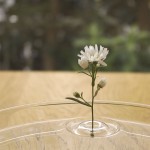 Floatingvases-3