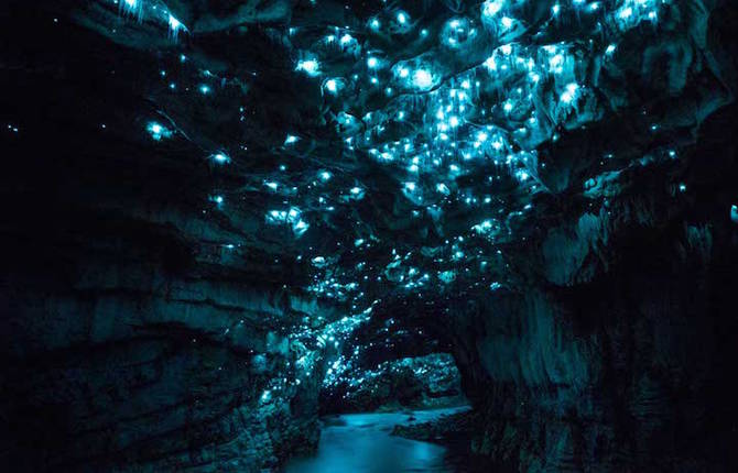 Magical Starry Sky in New-Zealand Cave