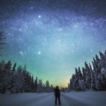 arctic-8
