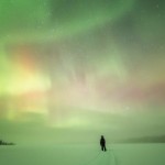 arctic-9