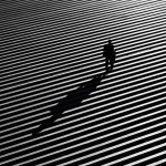 bwsilhouettes6
