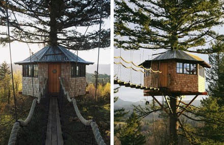 Treehouse and Skate Bowl in the Woods
