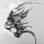 feline-3