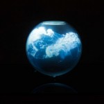 fishbowl-1