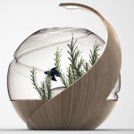 fishtank5