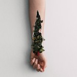 grace-1