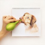 interactivedogillustrations6